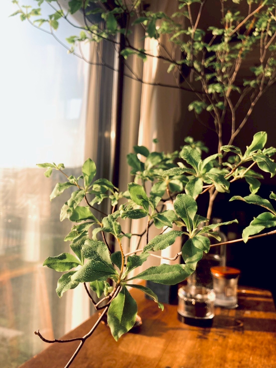 COLEMBERS公式サイト