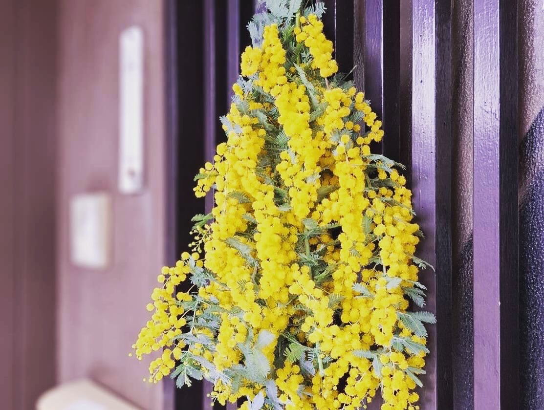 専門職の何でも屋さん